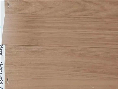 ABS Enhancing Connection With Doors